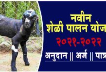 शेळी / मेंढी पालन नवीन योजना सरकारणे काढला जि.आर.