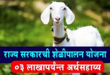 Sheli Palan Yojana – 03 लाख रूपयापर्यंन्त अर्थसहाय्य sheli palan yojana