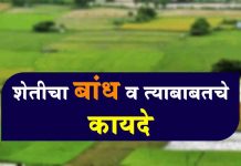 Jaminicha Bandh जमिनीचा बांध व कायदा संपुर्ण माहिती Jaminicha Bandh