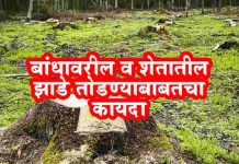 Zhad Todne Kayda बांध, शेतातील झाड तोडण्याचे नियम, कायदे Zhad Todne Kayda