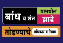 Zhad Todne Kayda बांधावरील झाड तोडण्याबाबतचा कायदा Zhad Todne Kayda