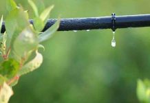 Thibak Sinchan Anudan Yojana ऑनलाईन अर्ज ठिबक सिंचन 80% अनुदान Thibak Sinchan Anudan Yojana