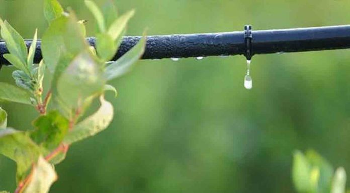 Thibak Sinchan Anudan Yojana ऑनलाईन अर्ज ठिबक सिंचन 80% अनुदान Thibak Sinchan Anudan Yojana