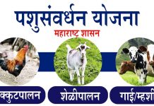 पशुसंवर्धन विभाग अनुदान योजना Online Form, Documents, Information पशुसंवर्धन विभाग अनुदान योजना