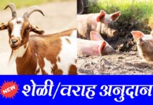 Sheli Anudan Yojana शेळी वराह अनुदान योजना sheli-anudan-yojana