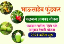 फळबाग अनुदान अर्ज सुरू Falbag Lagvad Anudan Yojana Falbag Lagvad Anudan Yojana