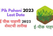 E Pik Pahani Last Date 2023 ई पीक पाहणी 2023 शेवटची तारीख e pik pahani last date