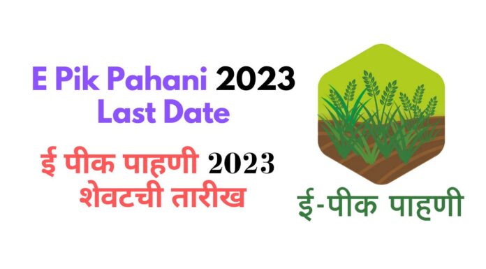 E Pik Pahani Last Date 2023 ई पीक पाहणी 2023 शेवटची तारीख e pik pahani last date